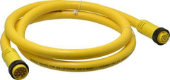 Brad Harrison - 5 Amp, Female Straight, Male Straight Cordset Sensor and Receptacle - 600 Volt, 1.83m Cable Length, IP67 Ingress Rating - Benchmark Tooling
