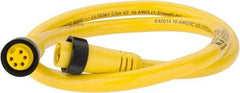 Brad Harrison - 8 Amp, Female Straight, Male Straight Cordset Sensor and Receptacle - 600 Volt, 0.91m Cable Length, IP67 Ingress Rating - Benchmark Tooling