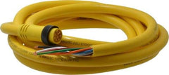 Brad Harrison - 7 Amp, Male Straight to Pigtail Cordset Sensor and Receptacle - 600 Volt, 3.66m Cable Length, IP67 Ingress Rating - Benchmark Tooling