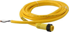 Brad Harrison - 13 Amp, Male Straight to Pigtail Cordset Sensor and Receptacle - 600 Volt, 3.66m Cable Length, IP67 Ingress Rating - Benchmark Tooling