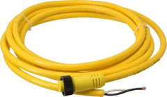 Brad Harrison - 13 Amp, Female Straight to Pigtail Cordset Sensor and Receptacle - 600 Volt, 3.66m Cable Length, IP67 Ingress Rating - Benchmark Tooling