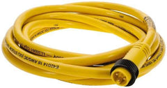 Brad Harrison - 13 Amp, Male Straight to Pigtail Cordset Sensor and Receptacle - 600 Volt, 3.66m Cable Length, IP67 Ingress Rating - Benchmark Tooling
