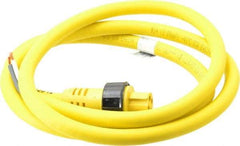 Brad Harrison - 15 Amp, Female Straight to Pigtail Cordset Sensor and Receptacle - 600 Volt, 1.83m Cable Length, IP67 Ingress Rating - Benchmark Tooling