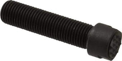 Fairlane - Serrated Tooth, 3/8-24, 1/8" Internal Hex, 1-1/2" Shank Length, 1-1/2" Thread Length, Black Oxide Finish, Round Head, Adjustable Positioning Gripper - 3/8" Pad Diam, 1/2" Hex, 0.15" Head Height, Extra Fine Tooth Grade - Benchmark Tooling