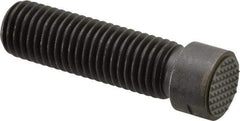 Fairlane - Serrated Tooth, 3/4-10, 5/16" Internal Hex, 2-1/2" Shank Length, 2-1/2" Thread Length, Black Oxide Finish, Round Head, Adjustable Positioning Gripper - 3/4" Pad Diam, 7/8" Hex, 1/4" Head Height, Extra Fine Tooth Grade - Benchmark Tooling