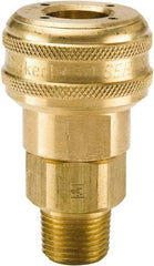 Parker - 1/4-18 Male NPTF Industrial Pneumatic Hose Coupler - Brass, 3/8" Body Diam - Benchmark Tooling