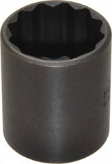 Proto - 1", 1/2" Drive, Standard Hand Socket - 12 Points, 1-9/16" OAL, Alloy Steel, Black Finish - Benchmark Tooling