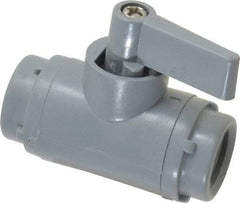 Specialty Mfr - 1/4" Pipe, PVC Standard Ball Valve - Inline - Two Way Flow, FNPT x FNPT Ends, Wedge Handle, 125 WOG - Benchmark Tooling
