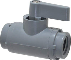 Specialty Mfr - 1/4" Pipe, PVC Standard Ball Valve - Inline - Two Way Flow, FNPT x FNPT Ends, Wedge Handle, 125 WOG - Benchmark Tooling