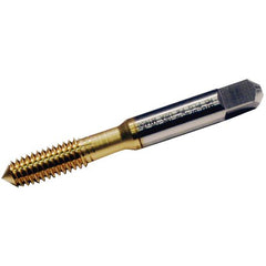 18355 5912 M4X0.7 D6 FE BOTT TIN - Exact Industrial Supply