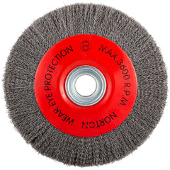 Norton - 10" OD, 3/4" Arbor Hole, Crimped Carbon Wheel Brush - Benchmark Tooling