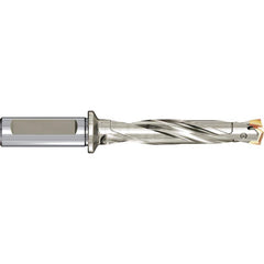 Replaceable Tip Drill: 0.9842 to 1.0197'' Drill Dia, 8.1875″ Max Depth Seat Size 0.3000, Through Coolant