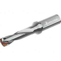 Walter - Replaceable-Tip Drills Series: D4140 Minimum Drill Diameter (mm): 31.00 - Benchmark Tooling