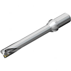 Sandvik Coromant - 7" Max Drill Depth, 7xD, 1" Diam, Indexable Insert Drill - Benchmark Tooling