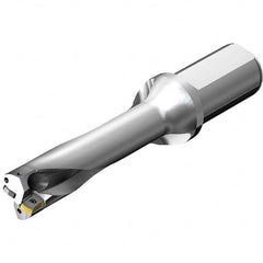 Sandvik Coromant - Indexable Insert Drills Drill Style: DS20 Drill Diameter (mm): 33.00 - Benchmark Tooling