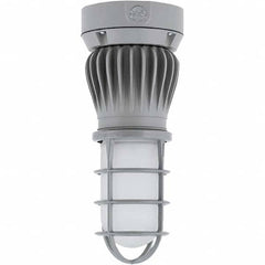 Hubbell Lighting - Hazardous Location Light Fixtures Resistance Features: Vaporproof Recommended Environment: Indoor; Outdoor - Benchmark Tooling