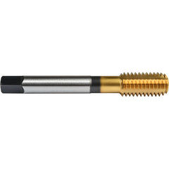 ‎No.4 40 Union Butterfield HSS-PM TiN Applix UNC UNC Machine Forming Tap ANSI E-code # 16414-40H5 - Exact Industrial Supply