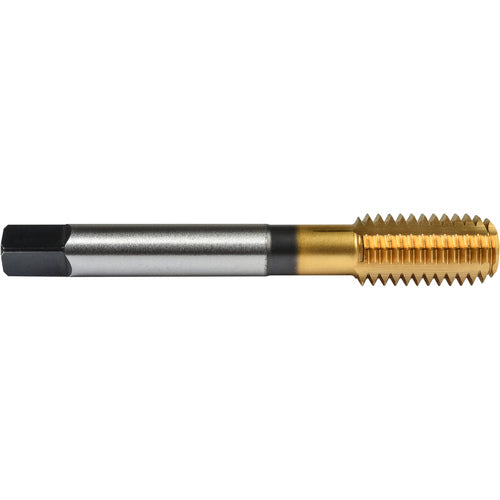 ‎1/4″- 20 Union Butterfield HSS-PM TiN Applix UNC UNC Machine Forming Tap ANSI E-code # 16411/4X20H6 - Exact Industrial Supply