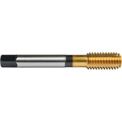 ‎No.4 40 Union Butterfield HSS-PM TiN Applix UNC UNC Machine Forming Tap ANSI E-code # 16414-40H3 - Exact Industrial Supply