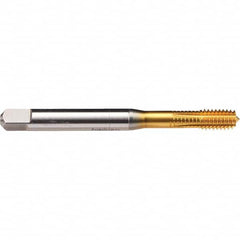 Emuge - 1/4-20 UNC 2BX Bottoming Thread Forming Tap - Benchmark Tooling