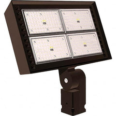 Hubbell Lighting - Floodlight Fixtures Mounting Type: Trunnion Mount Housing Color: Bronze - Benchmark Tooling