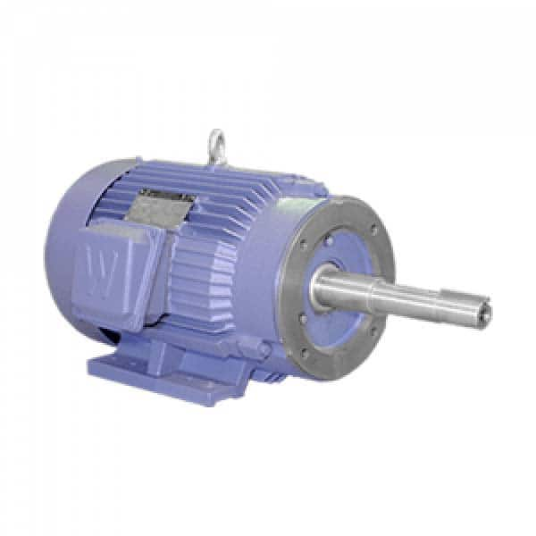 Worldwide Electric - Electric AC/DC Motors Motor Type: Premium Efficient Type of Enclosure: TEFC - Benchmark Tooling