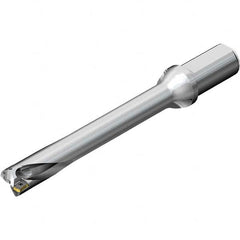 Sandvik Coromant - 175mm Max Drill Depth, 7xD, 25mm Diam, Indexable Insert Drill - Benchmark Tooling