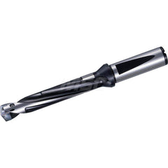 Replaceable Tip Drill: 18 to 18.99 mm Drill Dia, 95 mm Max Depth, 25 mm Flange Shank Seat Size 18, 179 mm OAL, Through Coolant