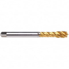 Spiral Flute Tap: M12 x 1.25, MF, Modified Bottoming, 6H Class of Fit, Powdered Metal, TIN-60 Finish Right Hand Flute, Right Hand Thread, D5, Series C3600F01