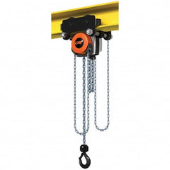 CM - 4,409 Lb Capacity, 10' Lift Height, Manual Chain Hoist - Benchmark Tooling