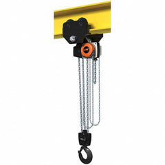 CM - 22,046 Lb Capacity, 10' Lift Height, Manual Chain Hoist - Benchmark Tooling