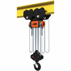 CM - 44,092 Lb Capacity, 10' Lift Height, Manual Chain Hoist - Benchmark Tooling
