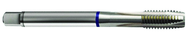 6-40 Dia. - 2B - 3 FL - Cobalt Spiral Point Plug Blue Ring Tap - Bright FORM-B DIN 374 - Benchmark Tooling