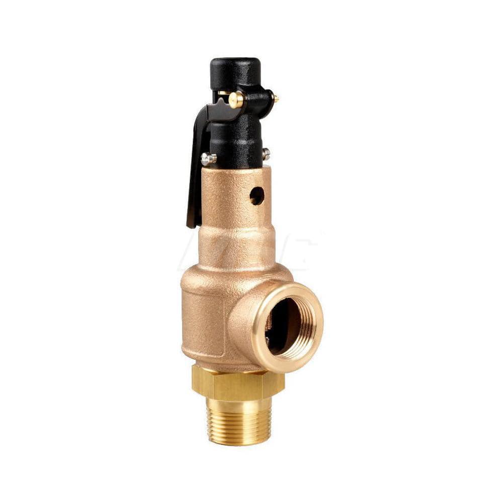 3/4 Mnpt X 1 Fnpt Brass/Bronze Series 560-Ed Asme Section I Safety Valve With (E) Orifice For Steam Service, Metal Seat & Open Lever Set 225 Psi