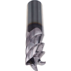 12M HM FLAT N LG 4 MOD FL TIAL