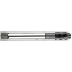 ‎1/4-20 Dia. - GH3 - 3 FL - Premium - HSS - Black Oxide - Plug - Spiral Point Tap Series/List #2088 - Benchmark Tooling