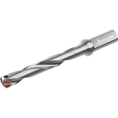 Walter - 28 to 28.99mm Diam, 7xD, 241mm Max Depth, 32mm Shank Diam, 306mm OAL, Replaceable Tip Drill - P6001-D28..R, P6003-D28..R, P6004-D28..R, P6005-D28..R Insert, D4140 Toolholder, Series D4140 - Benchmark Tooling