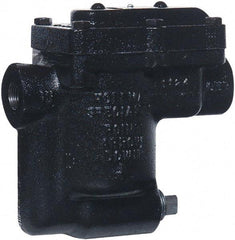 Hoffman Speciality - 2 Port, 3/4" Pipe, Stainless Steel Inverted Bucket Steam Trap - 80 Max psi - Benchmark Tooling