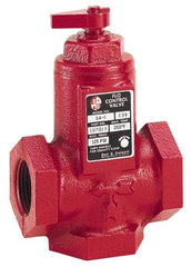 Bell & Gossett - 1-1/4" Pipe, Cast Iron Manually Operated Plumbing Valve - Buna Seal, FNPT - Benchmark Tooling