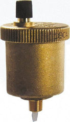 Bell & Gossett - 1/8" Pipe Automatic Air Vent - 150 Max psi, NPTM End Connection - Benchmark Tooling