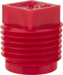 Caplugs - Square Head Plug - 1/2" OD, Polyethylene, Red - Benchmark Tooling
