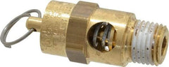 Conrader - 1/4" Inlet, ASME Safety Relief Valve - 125 Max psi, Brass, 116 Cubic' per Min - Benchmark Tooling