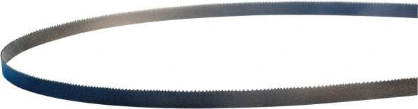 Lenox - 18 TPI, 10' Long x 1/2" Wide x 0.02" Thick, Welded Band Saw Blade - M42, Bi-Metal, Toothed Edge - Benchmark Tooling