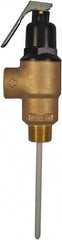 CASH ACME - 3/4" Inlet, 3/4" Outlet, MNPT x MNPT, ASME Safety Relief Valve - 150 Max psi, Bronze, 500000 BTUs - Benchmark Tooling