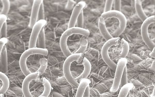 3M - Sanding Block Holder - 6.95" Wide x 13" Long - Benchmark Tooling