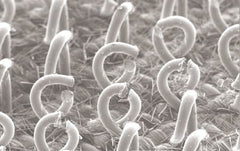 3M - Sanding Block Holder - 6.95" Wide x 13" Long - Benchmark Tooling