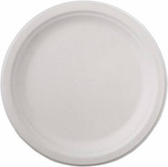 Chinet - Chinet Paper Plates, 9 3/4" - White - Benchmark Tooling