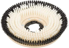 Clarke - 17" Diam Carpet Brush - 17" Machine, Black Pad, Nylon - Benchmark Tooling