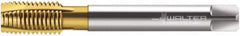 Walter-Prototyp - M30x2.00 Metric Fine, 4 Flute, TiN Finish, Cobalt Spiral Point Tap - Plug Chamfer, Right Hand Thread, 150mm OAL, 26mm Thread Length, 22mm Shank Diam, 6H Class of Fit, Series P2136005 - Exact Industrial Supply