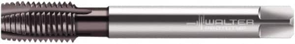 Walter-Prototyp - M30x3.50 Metric, 4 Flute, Hardlube Finish, Powdered Metal Spiral Point Tap - Plug Chamfer, Right Hand Thread, 180mm OAL, 42mm Thread Length, 22mm Shank Diam, 6HX Class of Fit, Series EP2026302 - Exact Industrial Supply